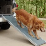 12 Great Dog Ramps